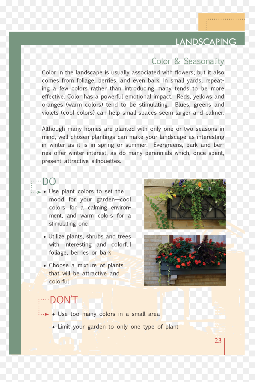Bungalow Design Guidelines - Conifer, HD Png Download - shrub silhouette png