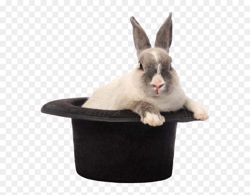 Rabbit Hat Png Image - Rabbit Out Of A Hat Png, Transparent Png - rabbits png