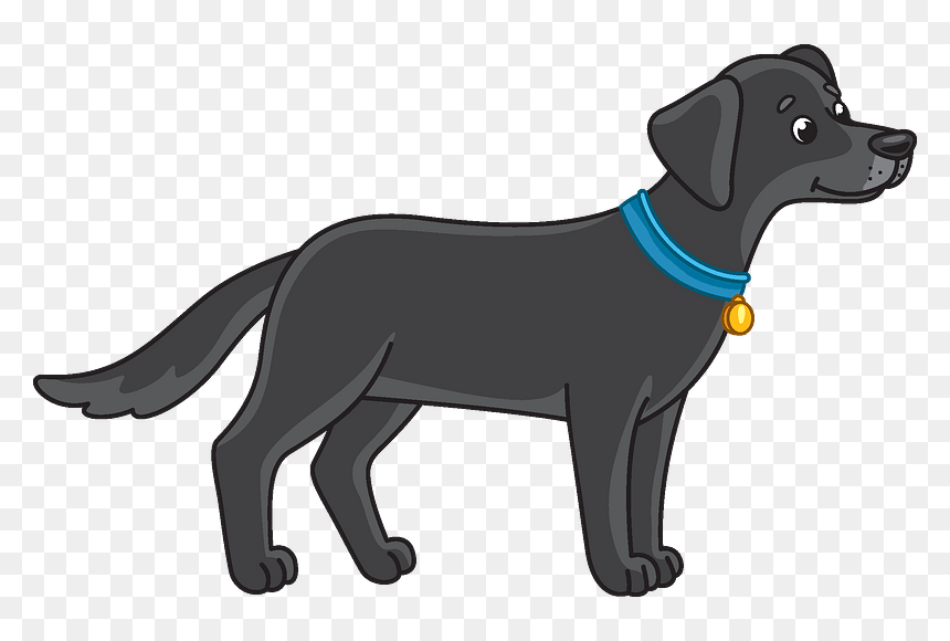 Black Lab Clipart - Labrador Retriever, HD Png Download - black lab png