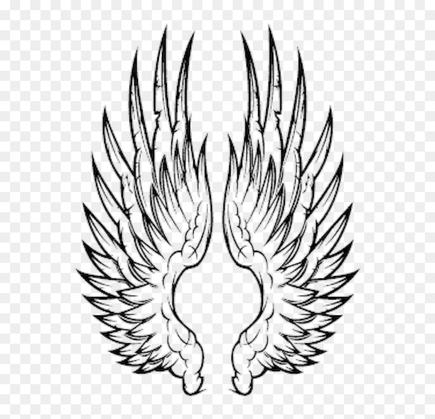 Vector Wings, HD Png Download - baby angel wings png