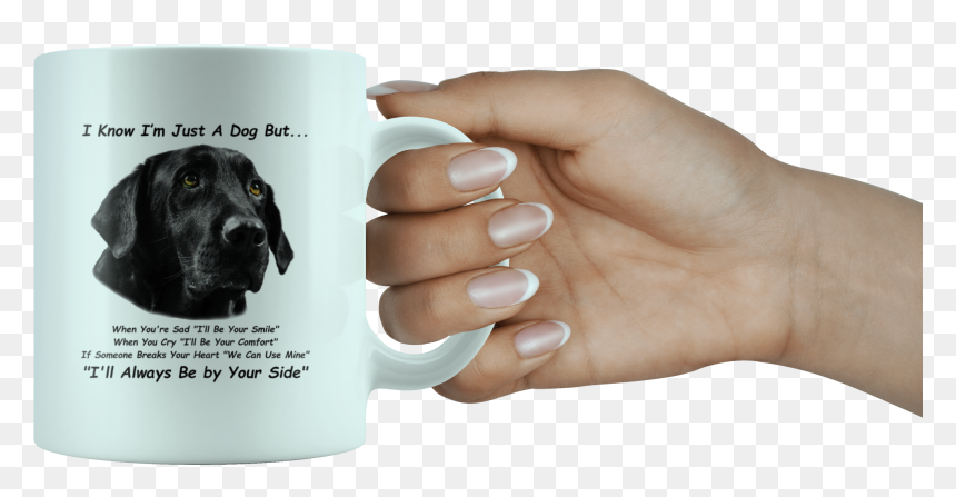Black Labrador Retriever, Black Lab, White 11oz Mug - Labrador Retriever, HD Png Download - black lab png