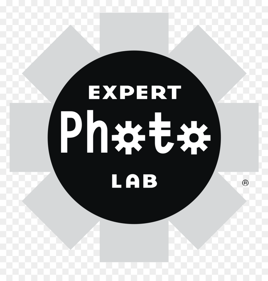 Graphic Design, HD Png Download - black lab png