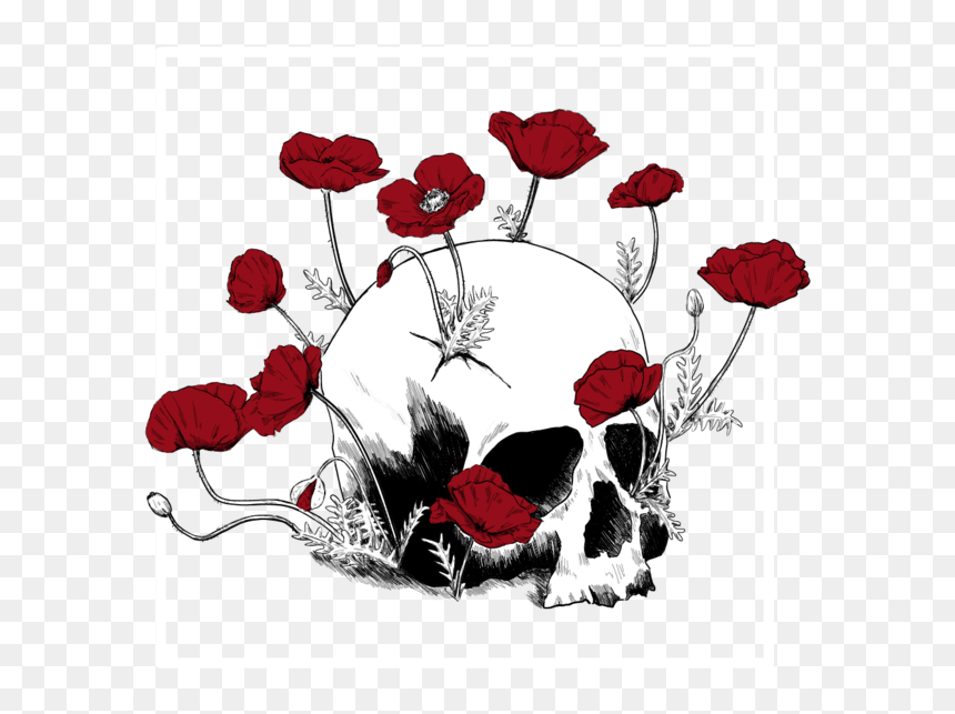 Transparent Crow Aesthetic, HD Png Download - allison argent png