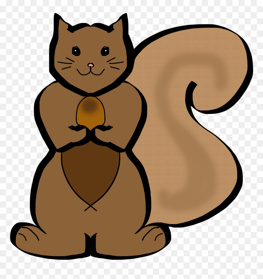 Drawing Of Squirrel Circulatory, HD Png Download - forest animals png