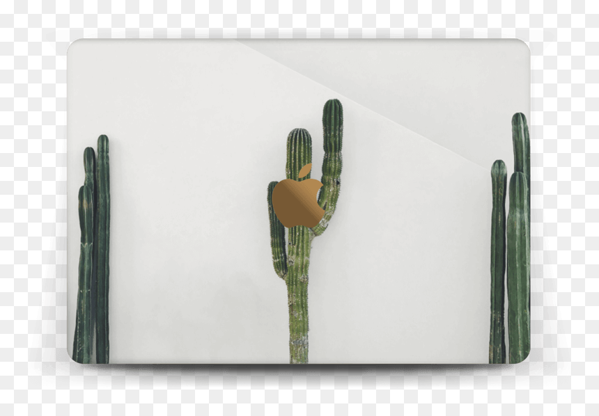 Transparent Cactus Mexicano Png - Macbook Pro 13-inch, Png Download - mexican cactus png