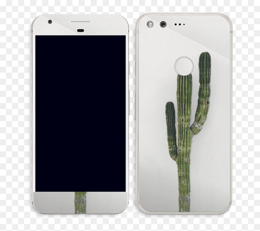 Apple Macbook Pro (790x800), Png Download - San Pedro Cactus, Transparent Png - mexican cactus png