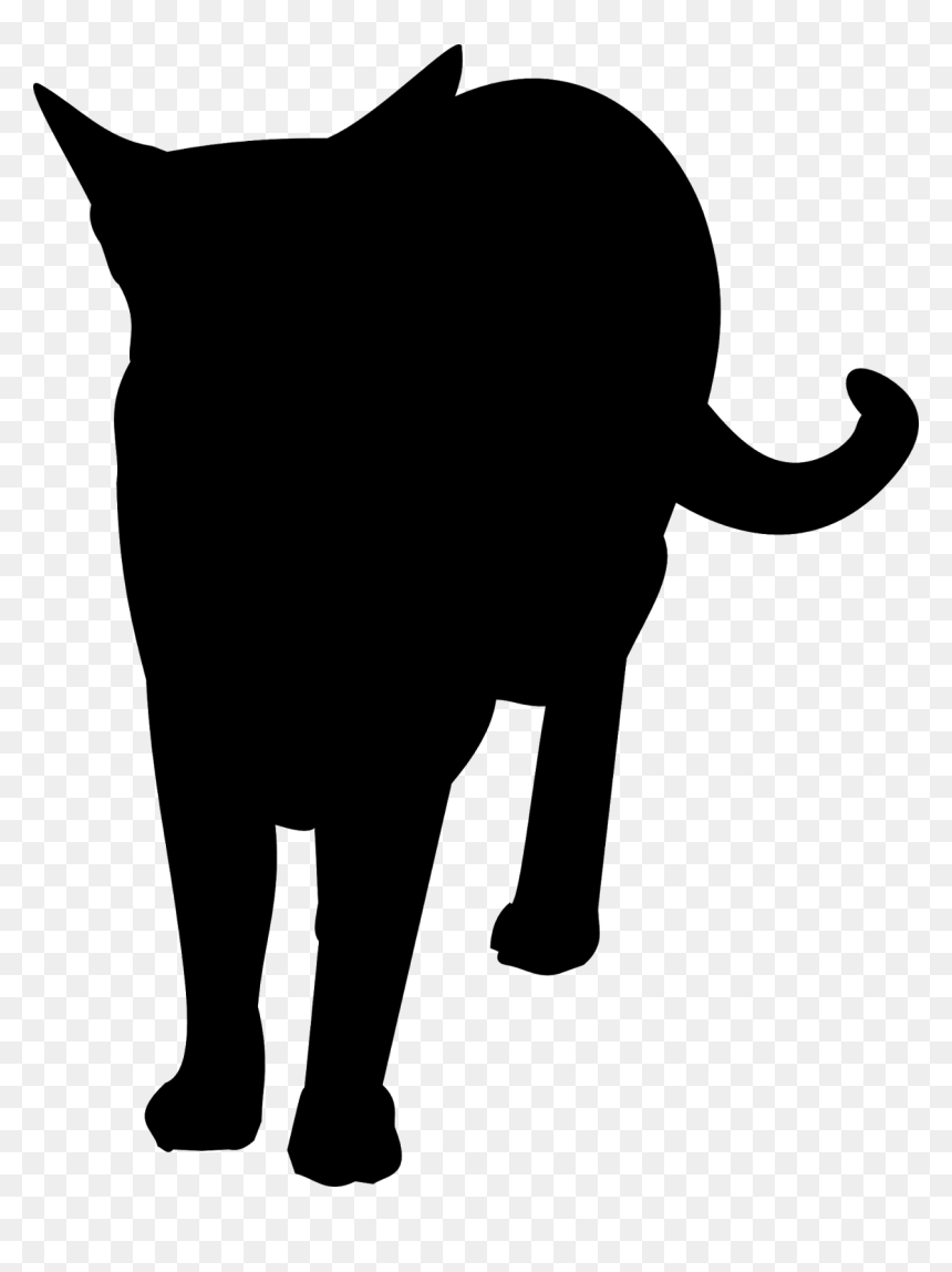 Feel Free To Use This Cat Silhouette For Your Own Projects - Domestic Short-haired Cat, HD Png Download - black cat silhouette png