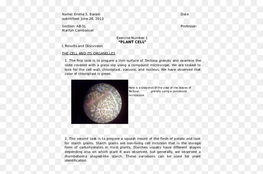 Circle, HD Png Download - plant cell png