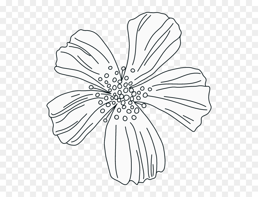 Illustration, HD Png Download - white petals png