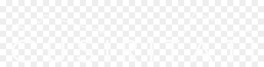 Logo Youtube Bianco Png 2 » Png Image - Monochrome, Transparent Png - pirelli logo png
