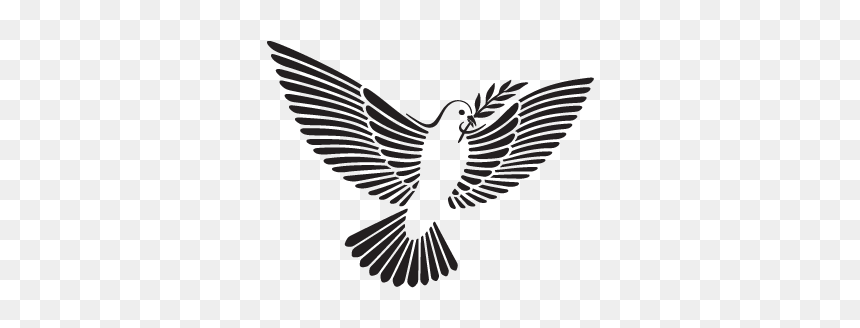 The Dove And Olive Branch Png - Transparent Dove Olive Branch Png, Png Download - dove with olive branch png