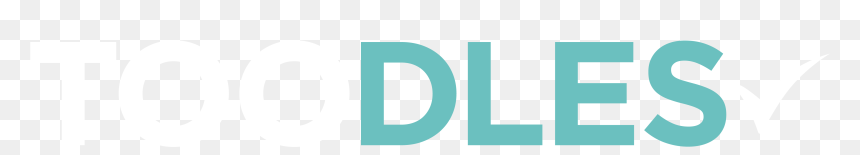 Obama Yes We Did, HD Png Download - toodles png