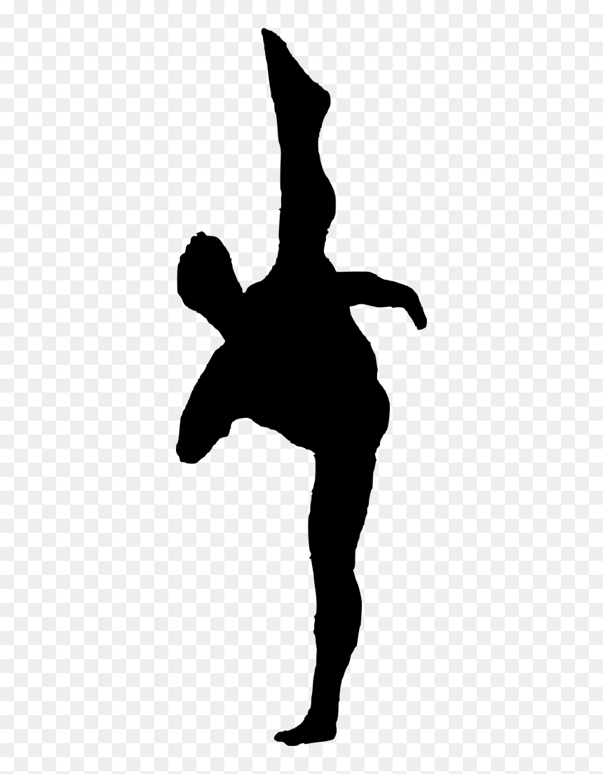 Karate-silhouette - Silhouette, HD Png Download - karate silhouette png