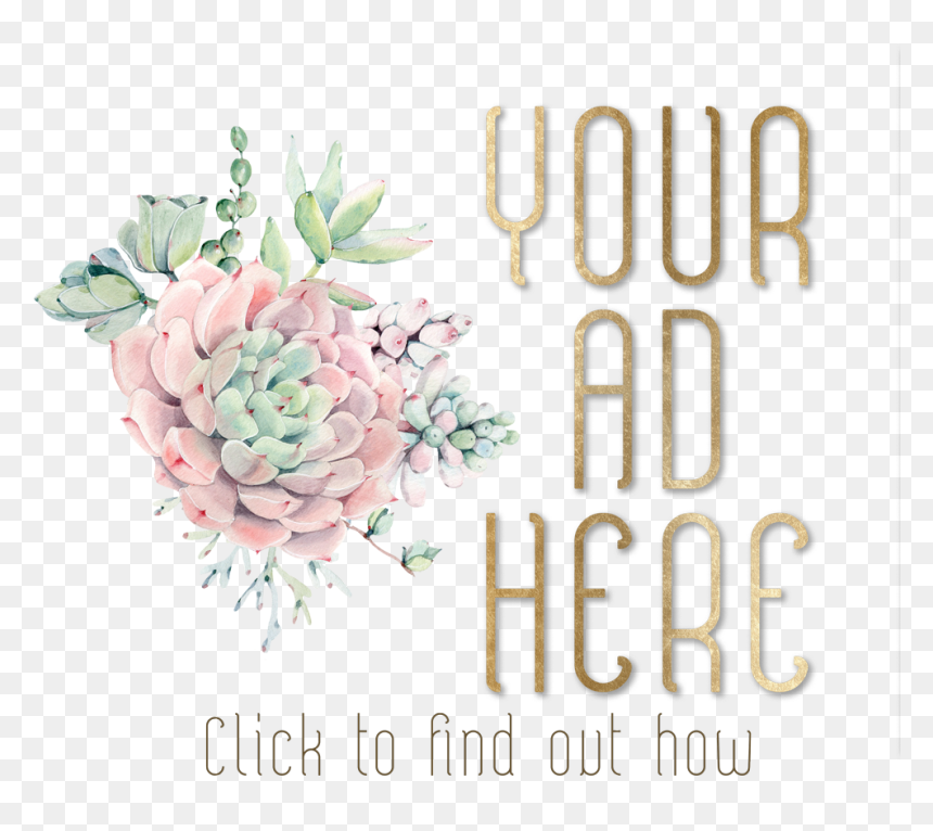 Pink Echeveria Light Green - White Mexican Rose, HD Png Download - society6 logo png