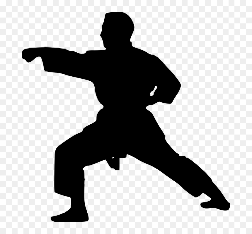 Dia Mundial Del Karate, HD Png Download - karate silhouette png