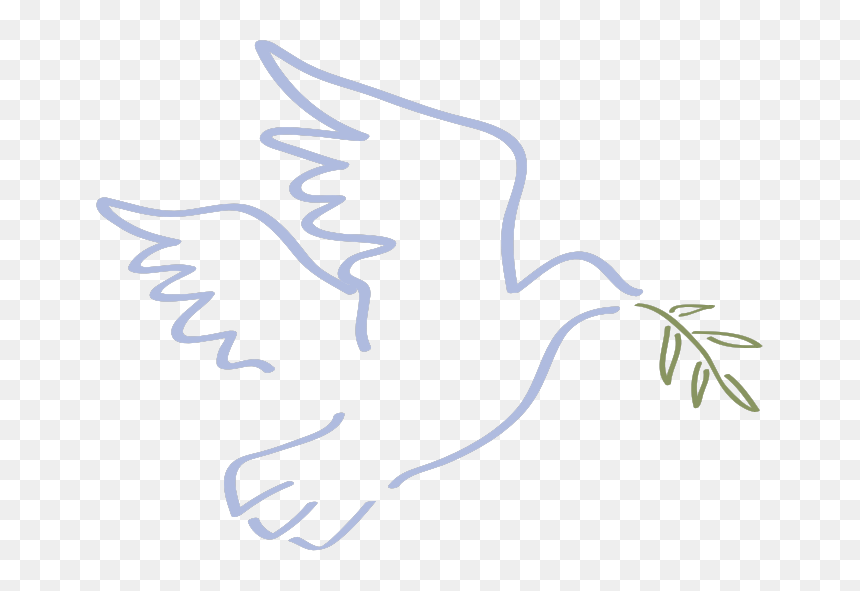 Dove - Dove With Olive Png, Transparent Png - dove with olive branch png