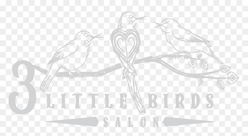 Logo - Old World Flycatcher, HD Png Download - dreadlock png