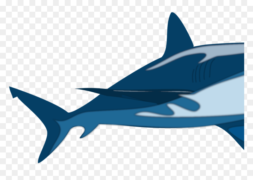 Shark Snow Cone, HD Png Download - shark clipart png