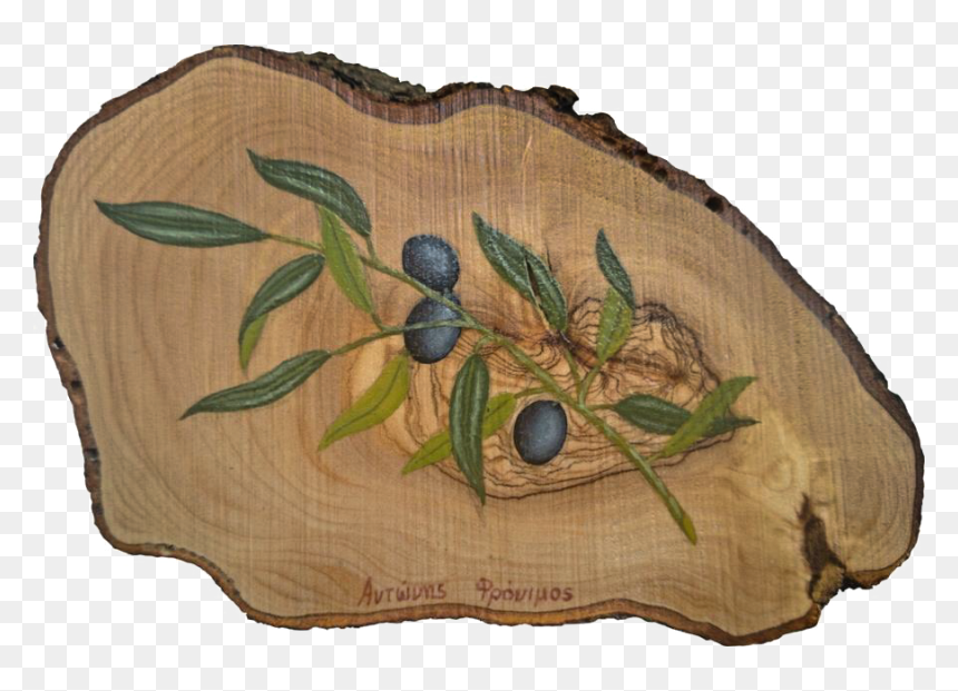 Gooseberry, HD Png Download - dove with olive branch png