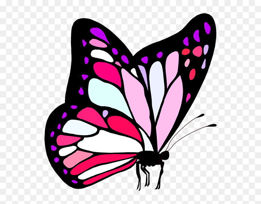 Please Feel My Love, HD Png Download - cute butterfly png
