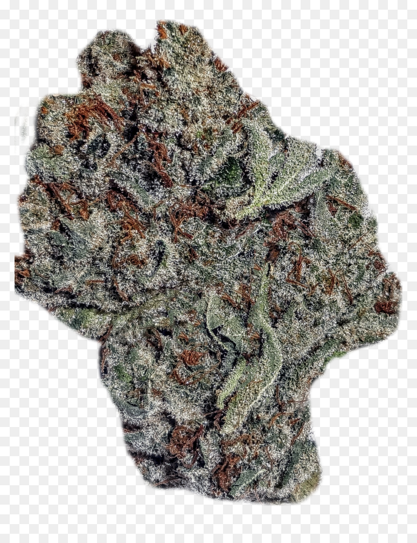 Wifiunderdawg - Wool, HD Png Download - white fire png
