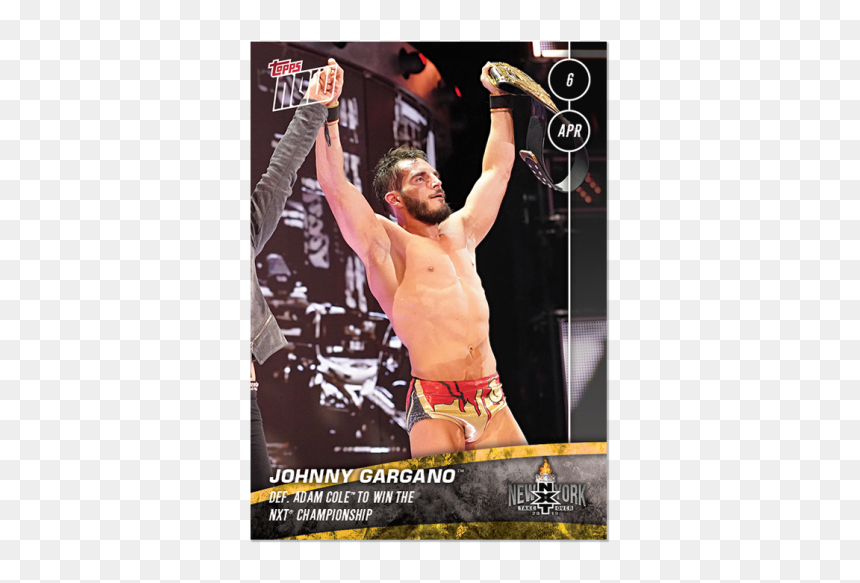 Poster, HD Png Download - johnny gargano png