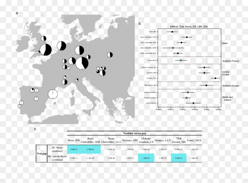 Holy See And The State Of Palestine, HD Png Download - science beaker png