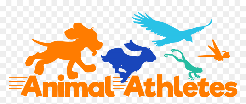 Clip Art, HD Png Download - forest animals png