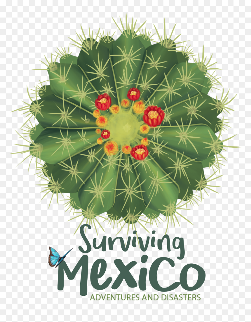 Logo, HD Png Download - mexican cactus png