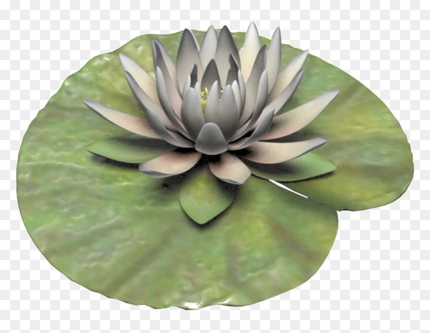 Hand Painted White Lotus Png Transparent, Png Download - white lotus png