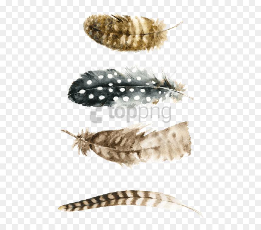 Free Png Watercolor Feather Free Png Image With Transparent - Free Printable Art Feather, Png Download - watercolor feather png
