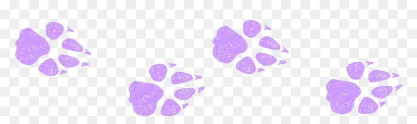 Butterfly, HD Png Download - bear paw print png