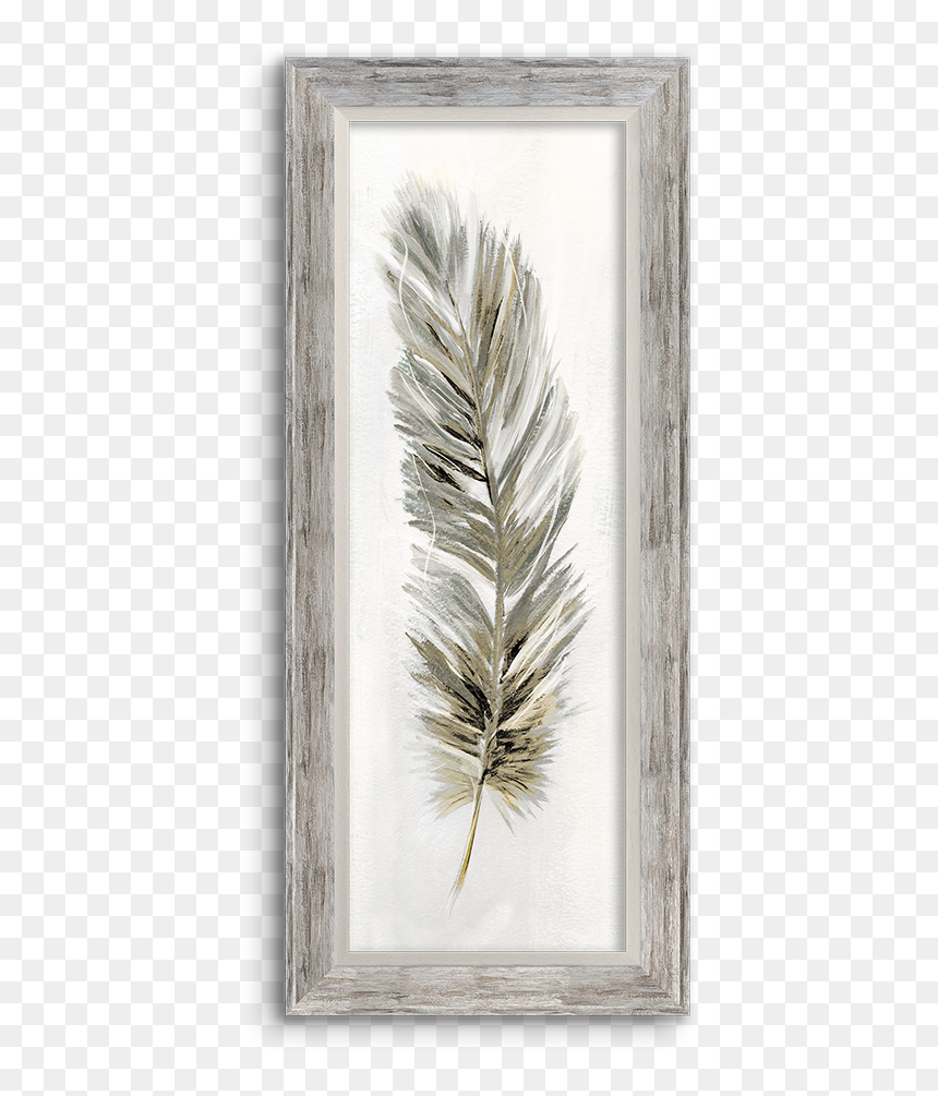 Picture Frame, HD Png Download - watercolor feather png