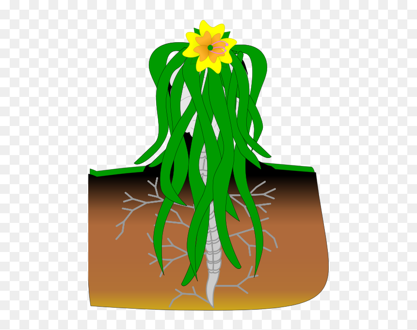Eva - Mutant Human Cartoon, HD Png Download - eva green png