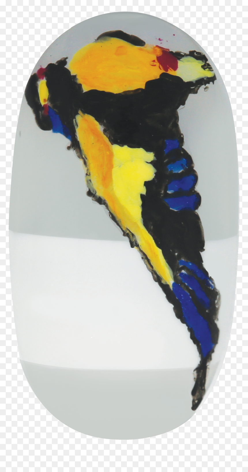 Macaw, HD Png Download - watercolor feather png