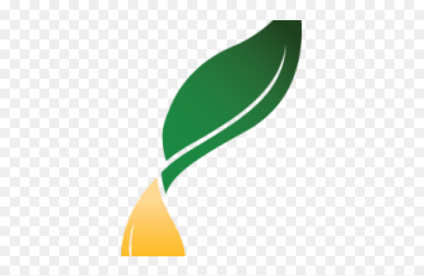 Clip Art, HD Png Download - young living png