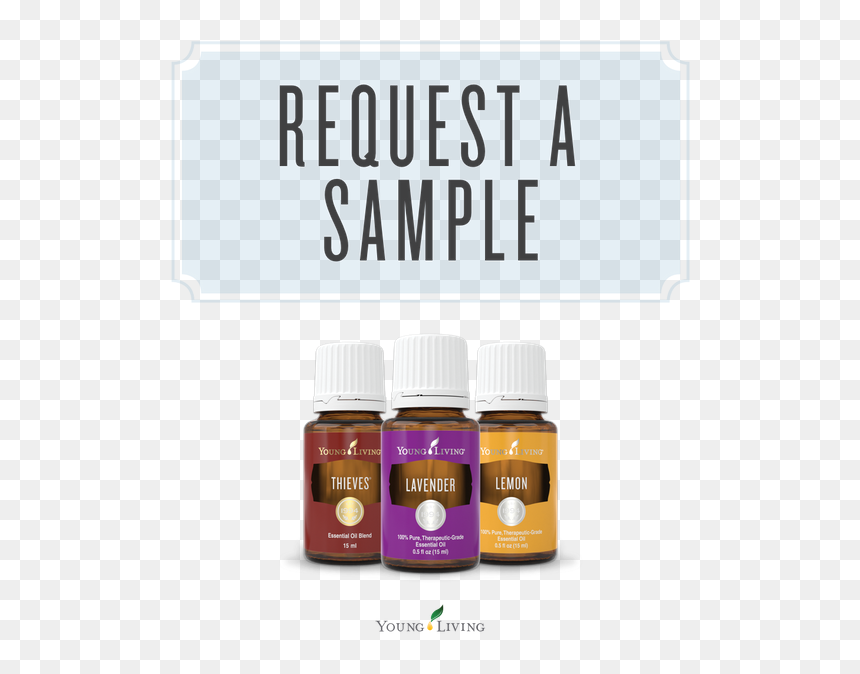 Chocolate, HD Png Download - young living png