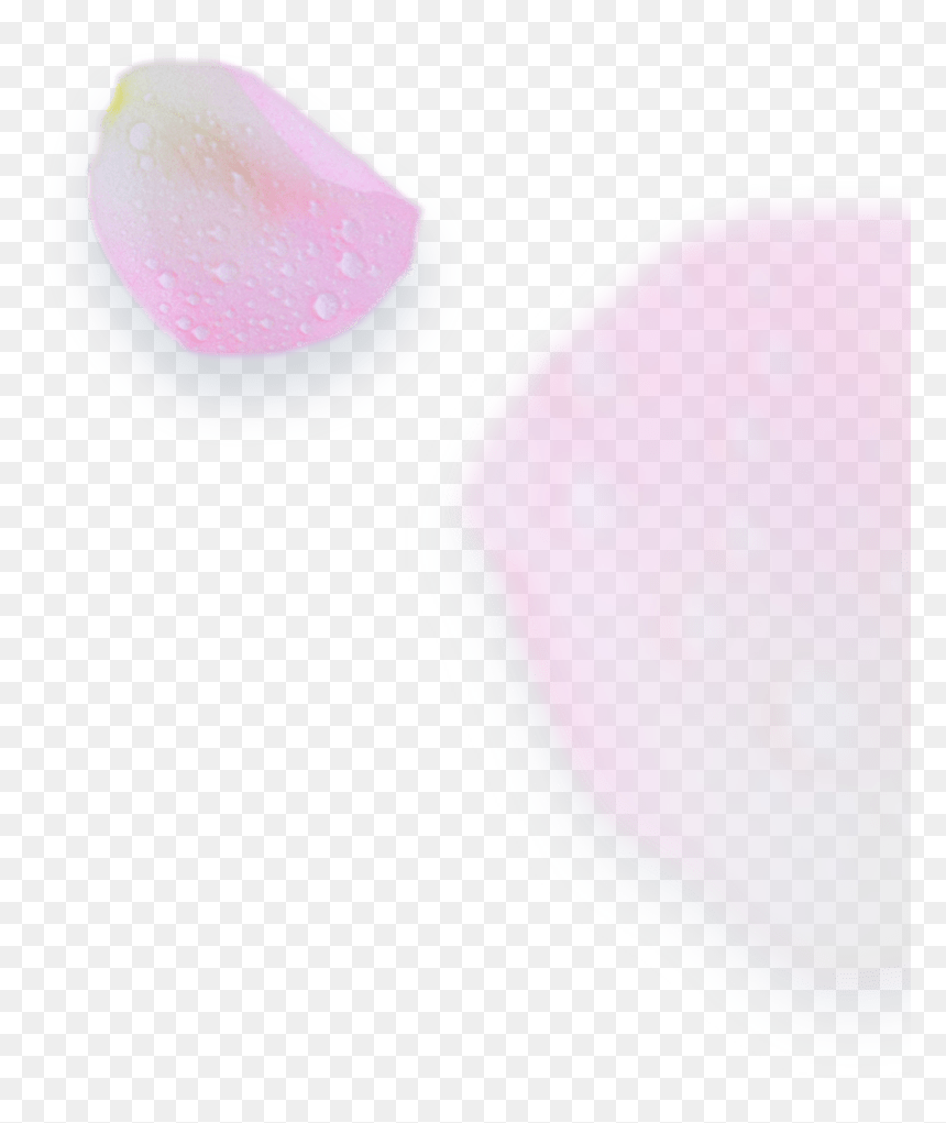 Artificial Nails, HD Png Download - young living png