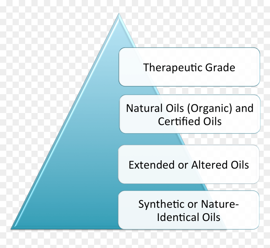 Screenshot, HD Png Download - young living png
