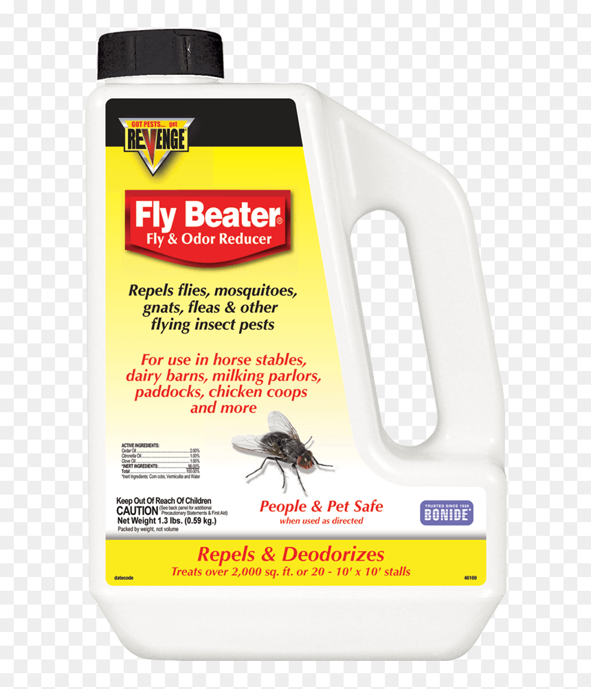 Weevil, HD Png Download - house fly png