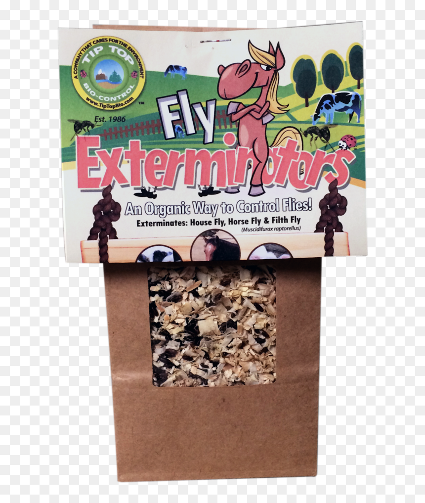 Fly Exterminator, HD Png Download - house fly png