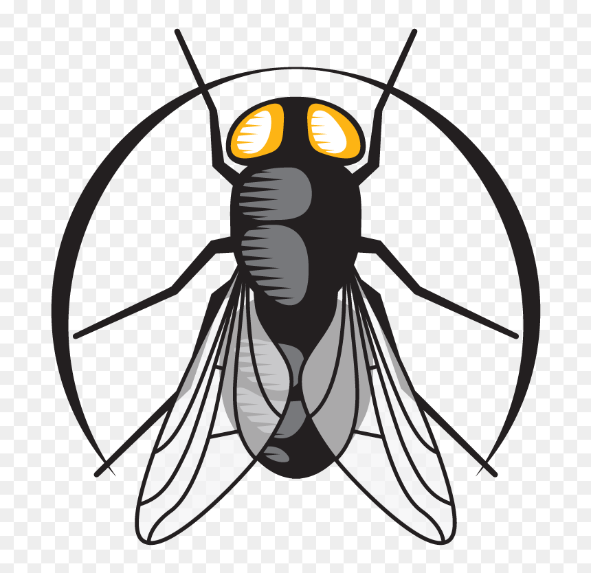 Clip Art, HD Png Download - house fly png
