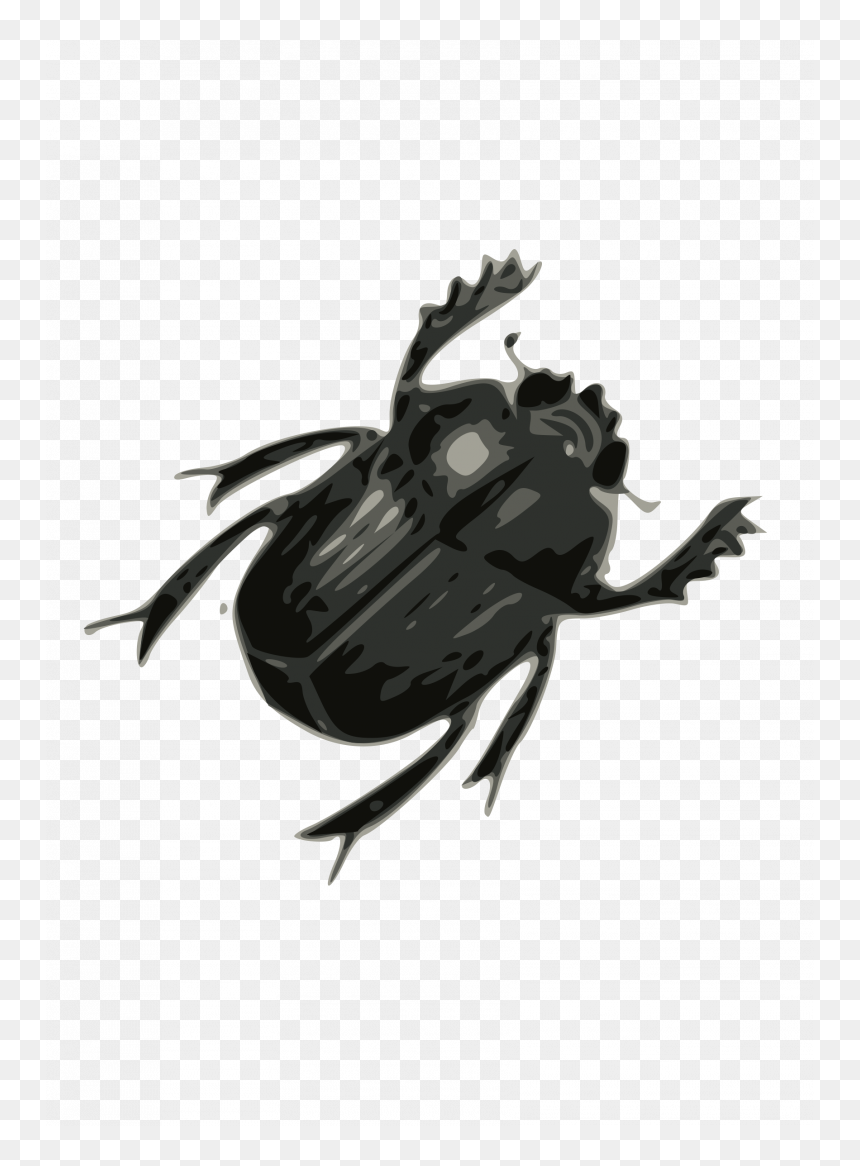 Transparent Background Bug Clipart, HD Png Download - house fly png