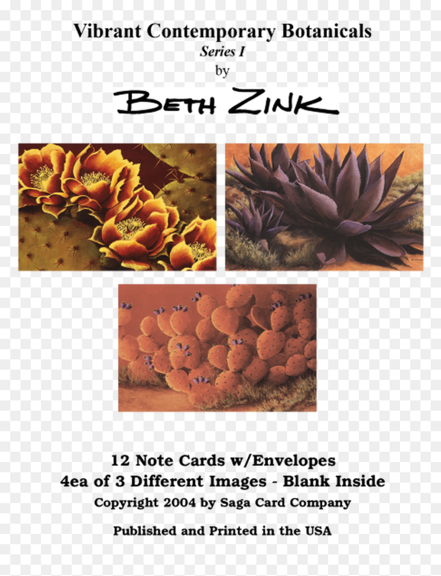 Cycad, HD Png Download - note card png