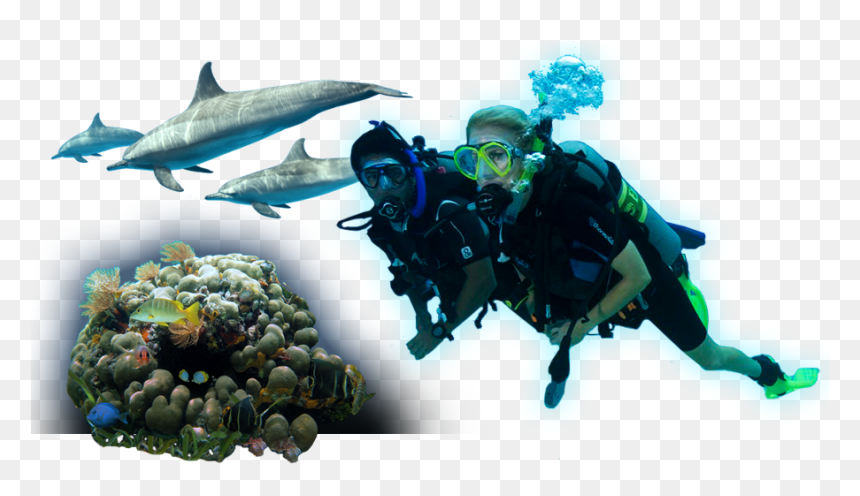 Png Taucher, Transparent Png - diving board png