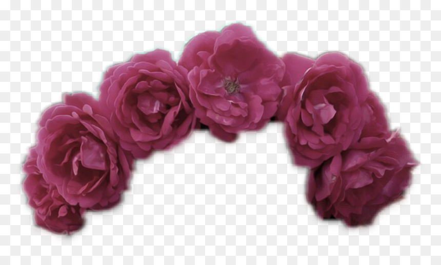 Garden Roses, HD Png Download - summer rae png