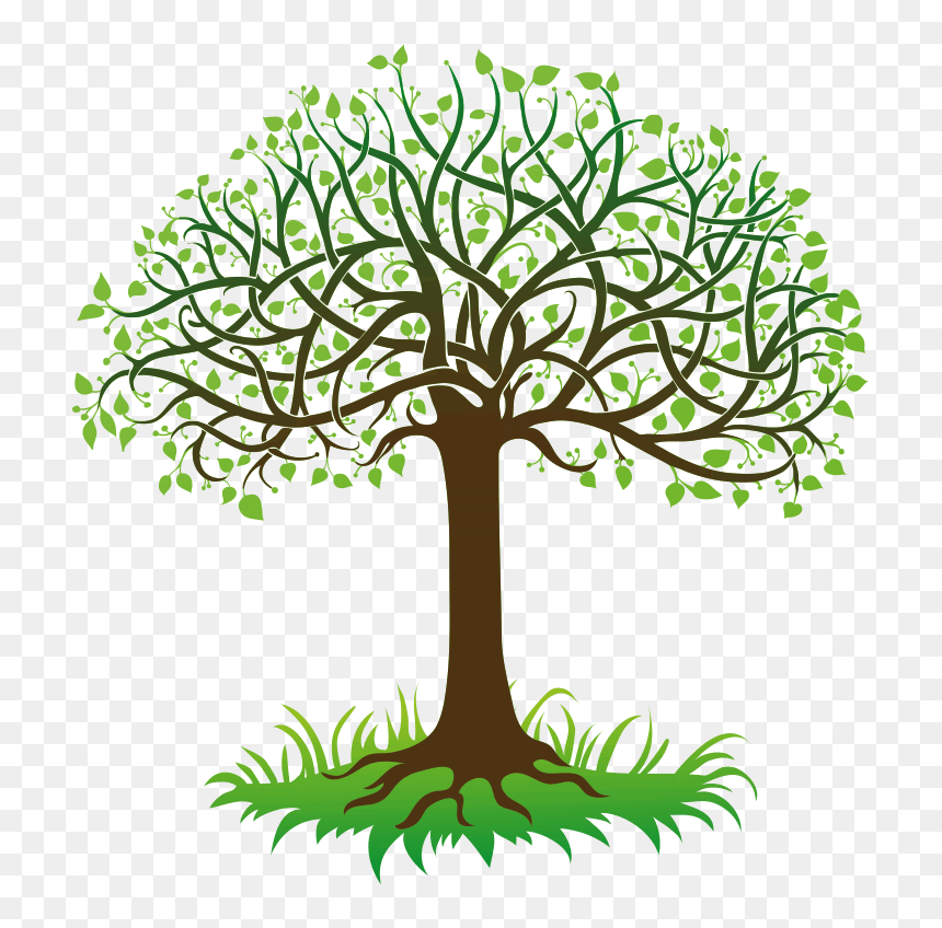 Tree Of Life Clipart With Roots, HD Png Download - green gradient png