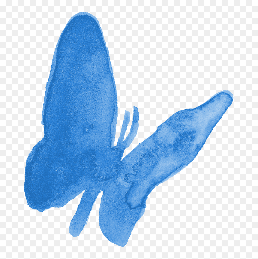Squid, HD Png Download - watercolor butterfly png