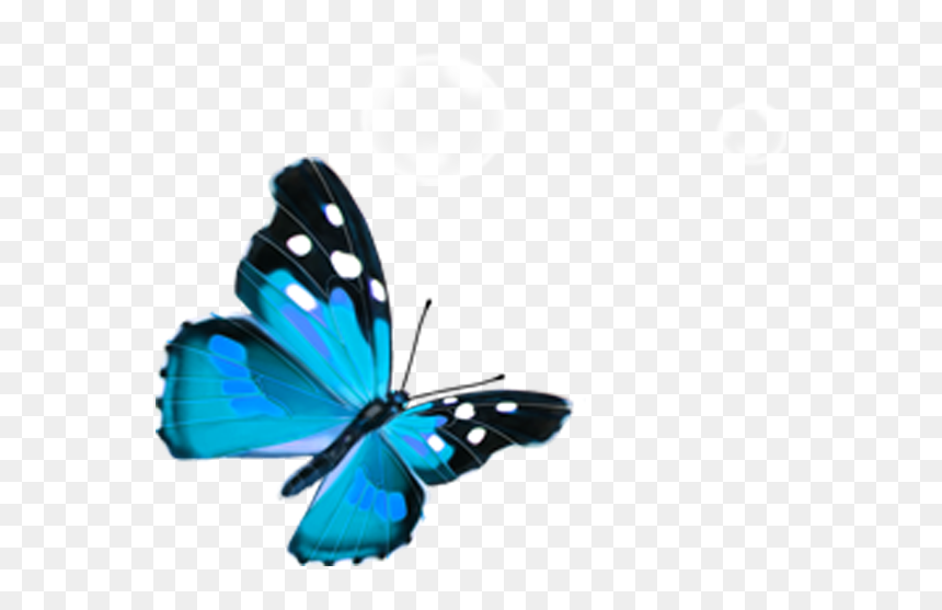 蝴蝶, HD Png Download - watercolor butterfly png