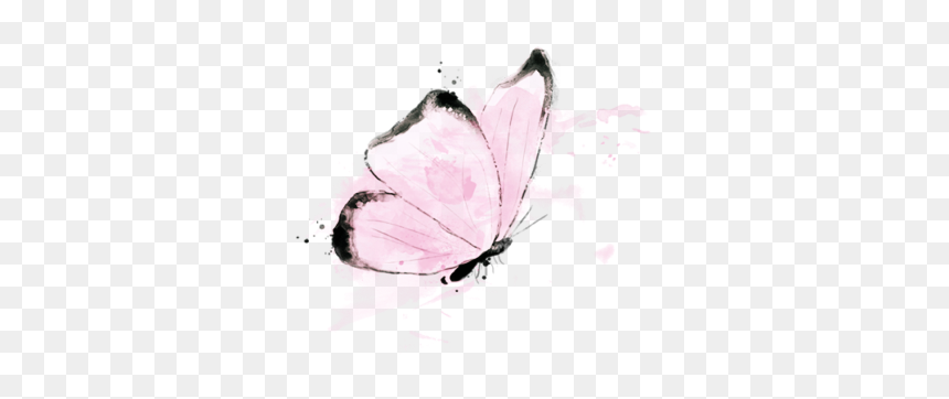 Swallowtail Butterfly, HD Png Download - watercolor butterfly png